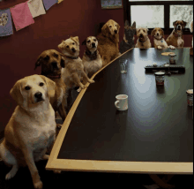 a group of dogs sitting around a table with a cup of ice cream on it