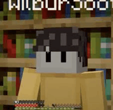 a minecraft character is standing in front of a book shelf .