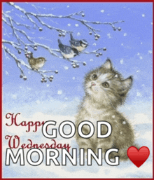 a happy good wednesday morning card with a cat