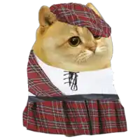 a doge wearing a plaid skirt and a hat