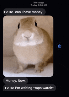 a screenshot of a text message with a picture of a rabbit on it