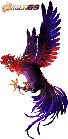 an illustration of a rooster with wings spread and a star above it that says racing9