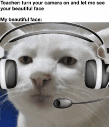 a white cat wearing headphones and a microphone with the caption " teacher turn your camera on and let me see your beautiful face my beautiful face "