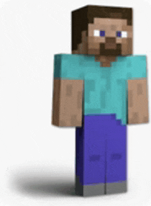 a minecraft character with a beard wearing a blue shirt and purple pants