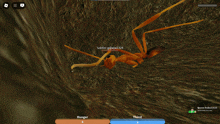 an ant is laying on the ground in a video game with hunger 4 and thirst 3