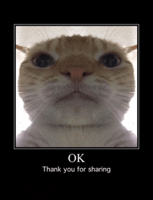 a picture of a cat with the words ok thank you for sharing