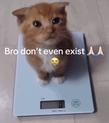 a cat is sitting on a scale with the words bro don 't even exist