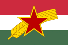 a flag with a red star and a wheat leaf