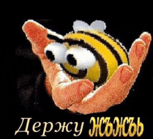 a cartoon bee is being held in a person 's hands with the word derpy in the bottom right corner