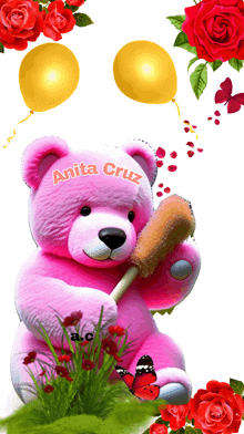 a pink teddy bear with anita cruz written on its chest