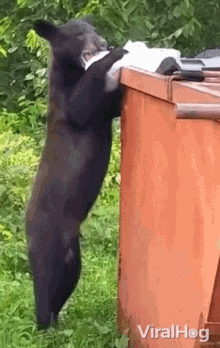 a black bear is standing on its hind legs next to a trash can holding a bag in its mouth .