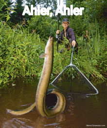 a man holding a fishing rod and a large fish with the name ahler written on the bottom