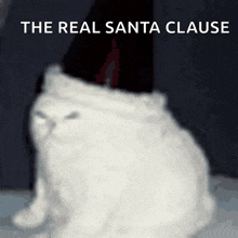 a picture of a cat with the words " the real santa clause " on the bottom