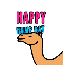 a happy hump day greeting card with a camel on it