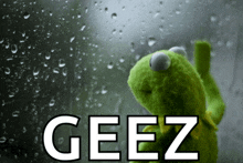 a kermit the frog looking out a window with the word geez written in white