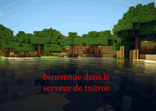 a screenshot of a video game with the words bienvenue dans le serveur de tnitroz