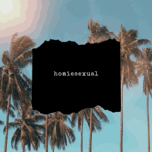 a picture of palm trees with the word homiessexual written on it