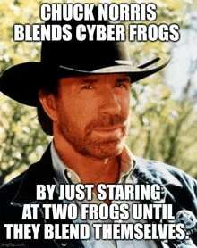 chuck norris blends cyber frogs by just starring at two frogs until they blend themselves .