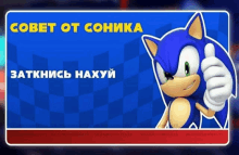 a picture of sonic the hedgehog giving a thumbs up in a foreign language