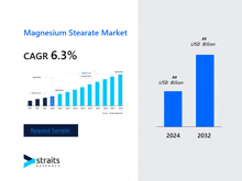 a graph showing the growth of the magnesium stearate market and a request sample button