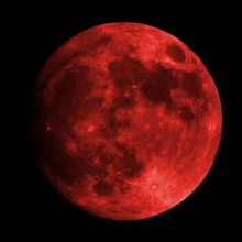 a full red moon is visible in the night sky