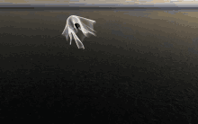 a ghost is floating in the middle of a body of water