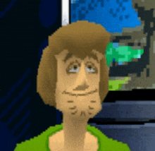 shaggy from scooby doo has a beard and a green shirt on