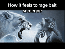 a drawing of a lion and a chimpanzee with the words how it feels to rage bait someone below them