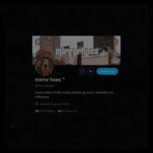 a screen shot of a twitter account called mirrorhoes