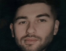 a close up of a man 's face with a beard and mustache .