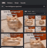 a computer screen shows a cat with low intelligence specimen written on it