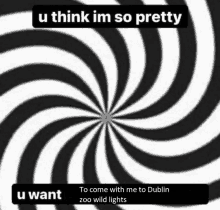 a black and white swirl with the words u think im so pretty u want to come with me to dublin zoo wild lights