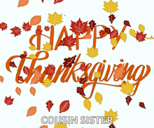 a happy thanksgiving greeting card with leaves and the words cousin sister