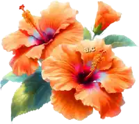 a painting of orange hibiscus flowers with a.c. written on it