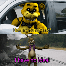 a yellow teddy bear sitting in a car next to a rabbit that says how are you not dead