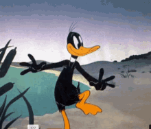 a cartoon of daffy duck dancing on a beach with the time 1:17