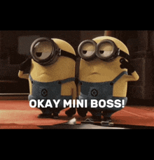 two minions standing next to each other with the words " okay mini boss " on the bottom