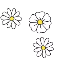 three daisies with a yellow center on a white background