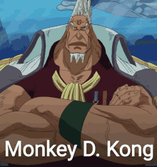 monkey d. kong is a cartoon character with a beard