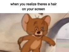 a picture of jerry from tom and jerry with the caption when you realize there 's a hair on your screen