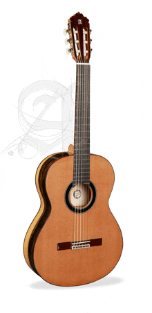 a guitar with the letter e on the back of it