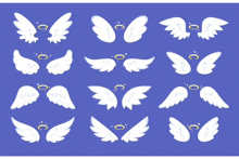 a set of white angel wings with a golden halo on a blue background