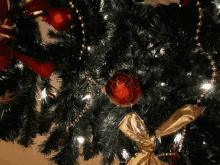 a close up of a christmas tree with a red ornament