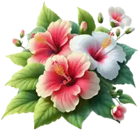 a bunch of pink and white hibiscus flowers with green leaves