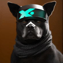 a black dog wearing futuristic goggles with a blue x on it