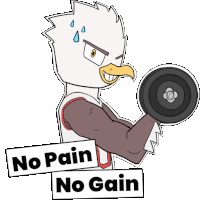 a cartoon of an eagle lifting a dumbbell with the words " no pain no gain " above it