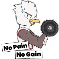 a cartoon of an eagle lifting a dumbbell with the words " no pain no gain " above it