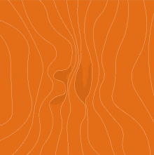 an orange background with white lines and a shadow