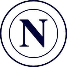 the letter n is inside of a blue circle on a white background