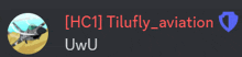 a picture of a plane with the words hc11 tilufly_aviation written in red